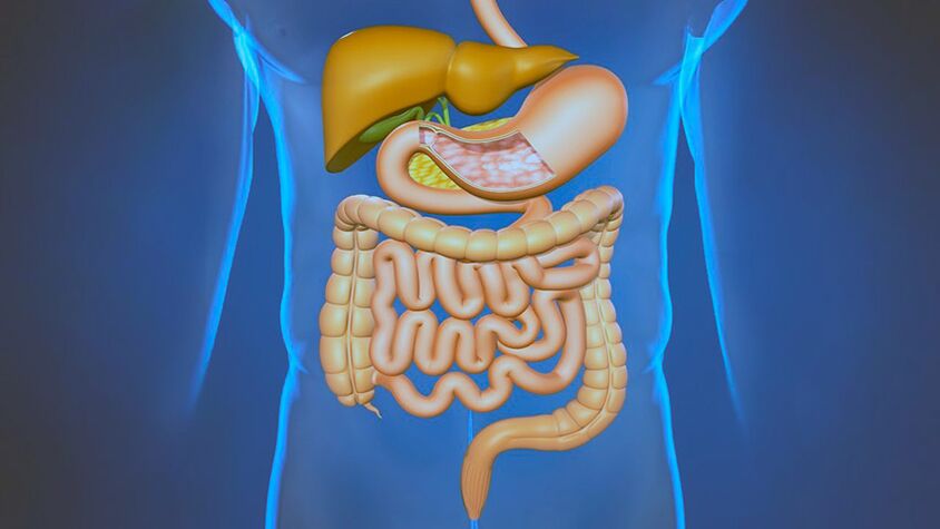 Enfermidades do sistema dixestivo a causa da dor baixo os omóplatos