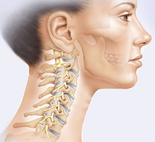 ilustración da columna cervical